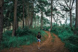 BIB: 
                            <button type="button" onclick="openModal(25763146)" class="btn btn-primary btn-sm float-right btn-popup" data-toggle="modal" data-target=".modal-high-quality">
                        <i class="fas fa-shopping-cart"></i> Add to Cart
                    </button>
                                            <button type="button" onclick="isThisMe(25763146, true)" class="btn btn-success btn-sm float-right btn-popup btn-isme hidden" data-toggle="tooltip" data-placement="bottom" title="นี่คือรูปของคุณใช่ไหม คลิกที่นี่เพื่อเอาเข้าอัลบั้ม">
                        <i class="fas fa-plus"></i> Add to album
                    </button>
                    <button type="button" onclick="isThisMe(25763146, false)" class="btn btn-warning btn-sm float-right btn-popup btn-isnotme hidden">
                        <i class="fas fa-ban"></i> Remove from album
                    </button>